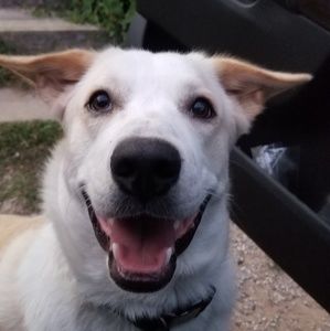 Meet your Posher, Alicia